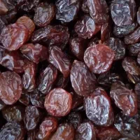 پخش کشمش به قیمت کارخانه