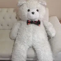 خرس بزرگ