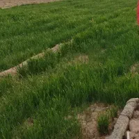 زمین-کشاورزی