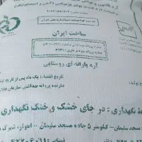 ۲کیسه آردتازه