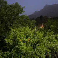 فروش-زمین-270متری-قلات