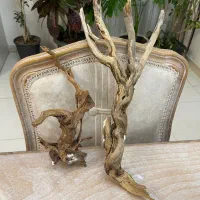 چوب آبنوس آکواریوم