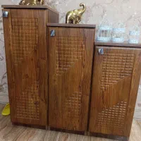 جا کفشی