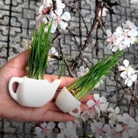 کار در منزل برای بانوان عزیز