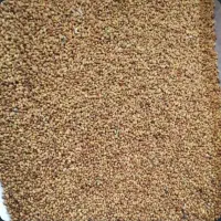 یونجه