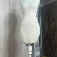 مانکن سوزن خور