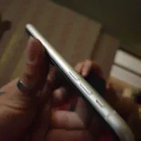 فقط معاوظه|موبایل|کرمان, |دیوار