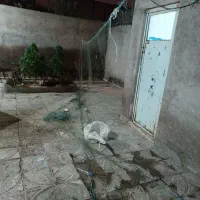 ۱عدد تور ماهی گیری