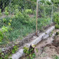 فروش باغ مثمر واقتصادی در گیوی (خلخال)ویلا/فول|فروش خانه و ویلا|کوثر, |دیوار