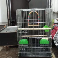 قفس کاسکویی و قفس گرد