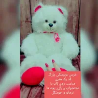 خرس بزرگ عروسکی قد یک متر