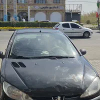 ۲۰۶ اصل فرانسه