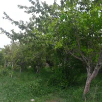 اردبیل شام اسبی فروش زمین ، سوله و...