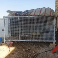 قفس بزرگ|لوازم جانبی حیوانات|نورآباد ممسنی, |دیوار