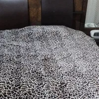 تخت و کمد تمام ام دی اف دونفره|تخت و سرویس خواب|مرودشت, استادیوم‎|دیوار