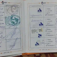 سگ شیتزو