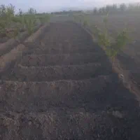 تمام امورات کشاورزی