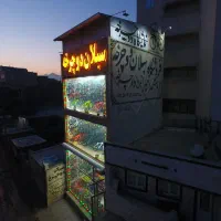 دوچرخه فانتزی دخترانه / اسپرت پسرانه/ حرفه ای محکم