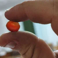 عقیق کهنه|جواهرات|خرم‌آباد, |دیوار