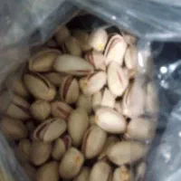پسته اکبری