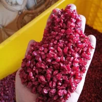 زرشک امسالی (پخش عمده)|عمده‌فروشی|قائن, |دیوار