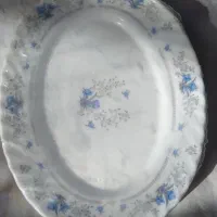 اروپال دیس ۴ عدد
