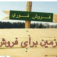 زمین
