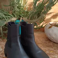 کفش در حد نو|کیف، کفش، کمربند|ساری, |دیوار