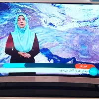 تلوزیون49اینچ TCL|تلویزیون و پروژکتور|فلاورجان, |دیوار