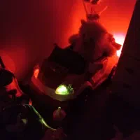 ماشین شارژی|اسباب‌‌بازی|قنوات, |دیوار