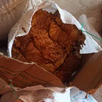 کاهو|عمدهفروشی|اهواز, شریعتی جنوبی|دیوار