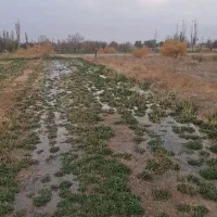 فروش ۱۲۰۰۰ متر زمین کشاورزی همراه باحقابه