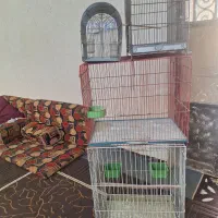 قفس مینا وقناری وسهره|لوازم جانبی حیوانات|اهواز, علی آباد|دیوار