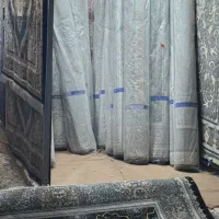 فرش ۱۲و۹متری چندین جفت یک نقش ۷۰۰شانه کاشان|فرش|گنبد کاووس, |دیوار