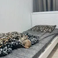 تخت یکنفره با تشک رویال