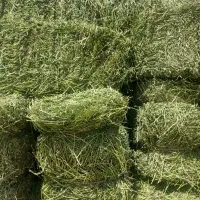 پرس یونجه  وکاه