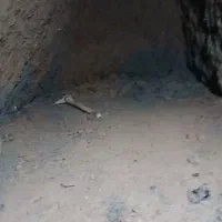 مغنی.چاه.مقنی.چاه