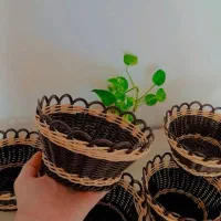 سبد های جای سبزی|ظروف نگهدارنده، پلاستیکی، یک‌بارمصرف|ازنا, |دیوار