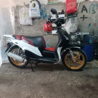 موتور دلفین