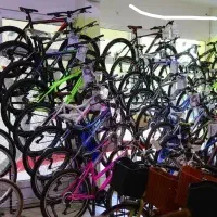 دوچرخه روپیا ۲۴/دنده ای کلاجدار دیسکی