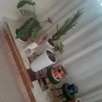 گل و گلدون و پایه ها