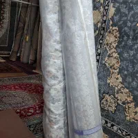 افشان طوسی چندین‌جفت ۶متری|فرش|علی‌آباد کتول, |دیوار