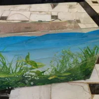 اکواریوم رو میزی شیشه ای|ماهی|قم, باسکول|دیوار