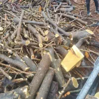 خرید و فروش انواع چوب