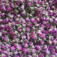 فروش کلی گل محمدی وغنچه ی خشک کاملا ارگانیک