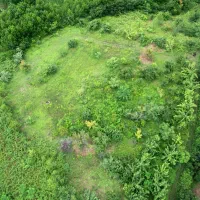 فروش ۲۲۵متر زمین باغی شمال یا معاوضه با خودرو