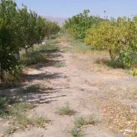 فروش باغ درجلفا روستای سیلگرد|فروش خانه و ویلا|جلفا, |دیوار