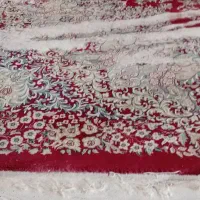 قالیشویی  کیفیت برترشهرما 24ساعت|خدمات نظافت|مشهد, مقدم|دیوار