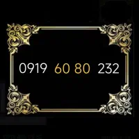 0919.60.80.232