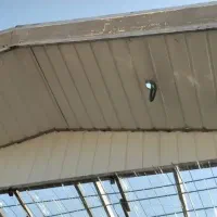 شیروانی محمد|خدمات پیشه و مهارت|خرم‌آباد, |دیوار